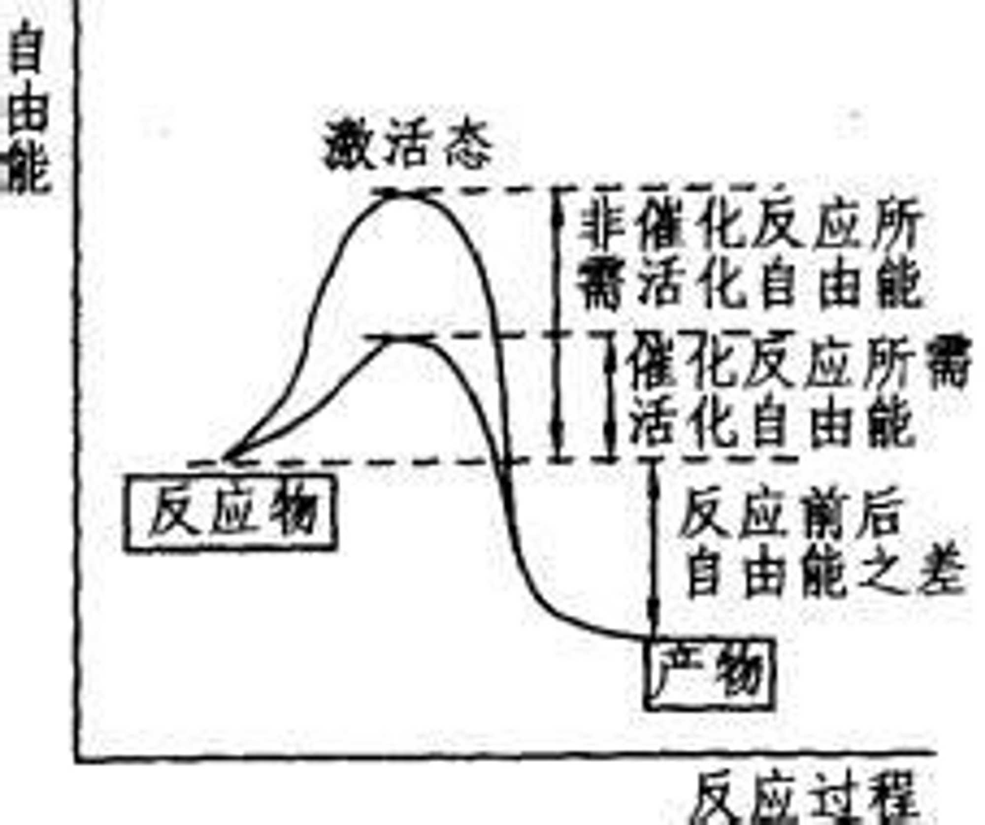 038 道德完善计划补充内容 在学习中升华