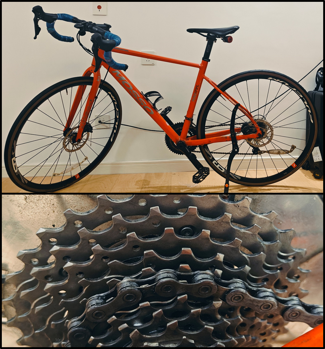 256 清理自行车的感想