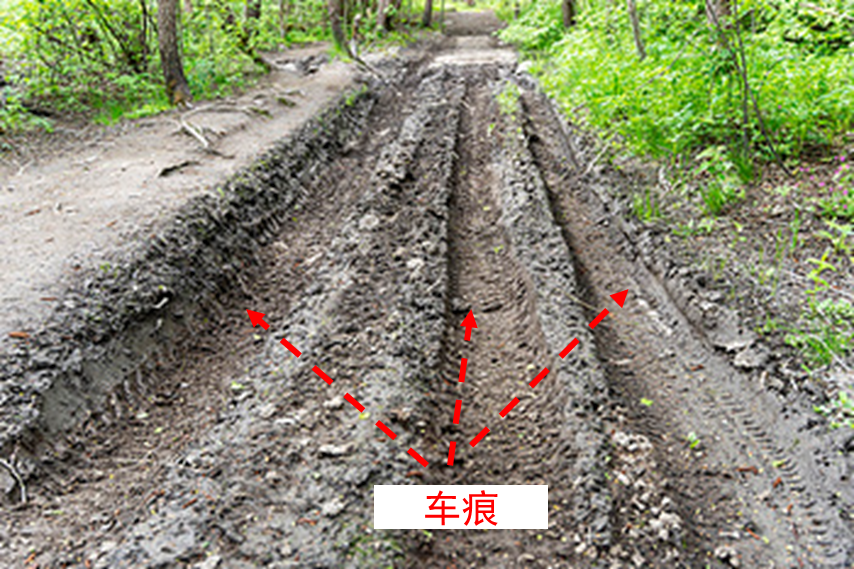 170 为什么我家附近沟渠总是和道路并列而建?