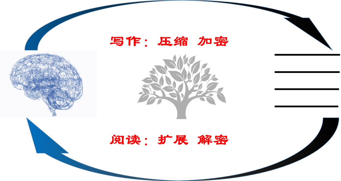 image-20220316140220672