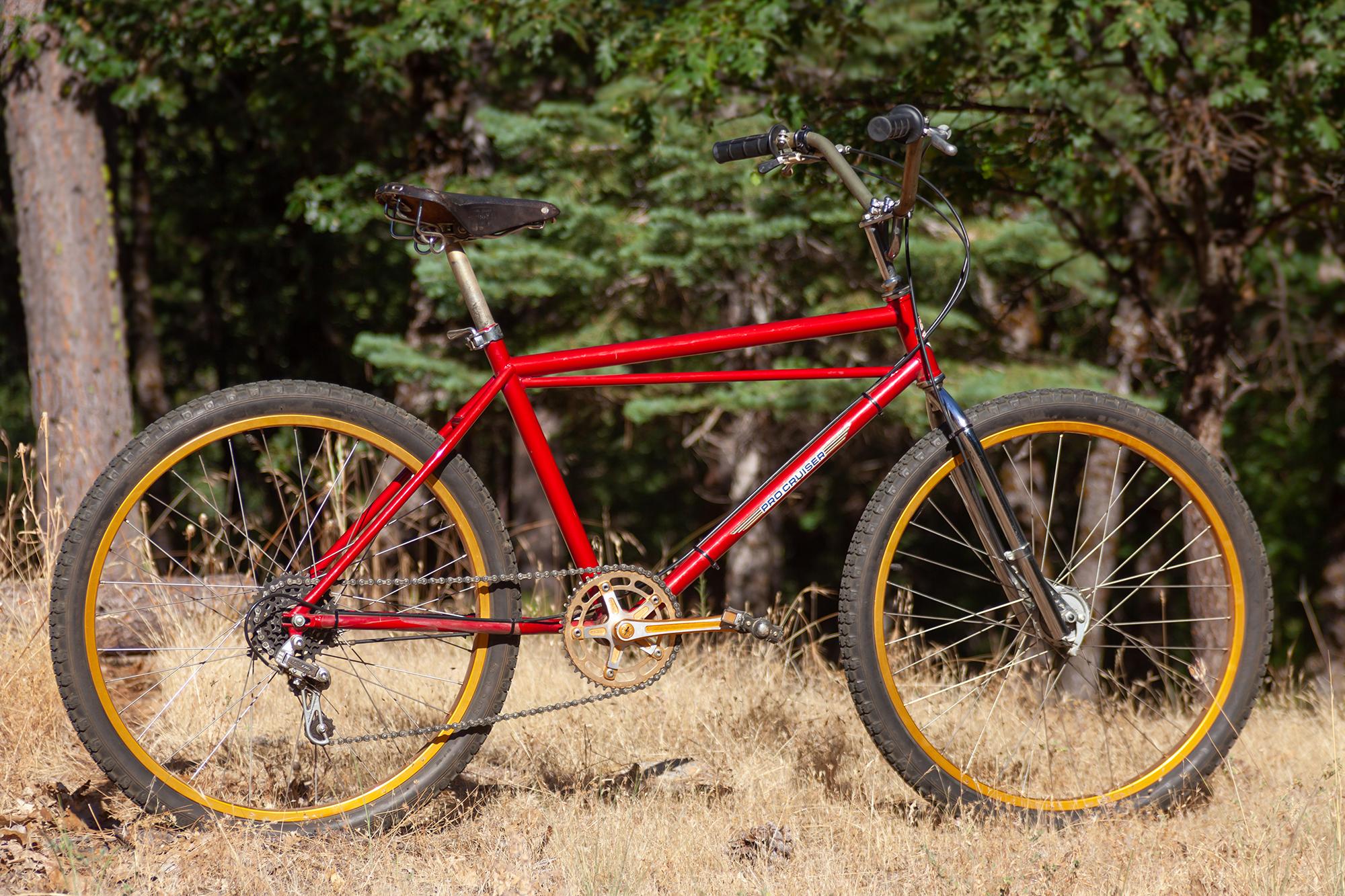 Cam's 1979 Lawwil Knight Pro Cruiser is a Drum Brake Blast ...