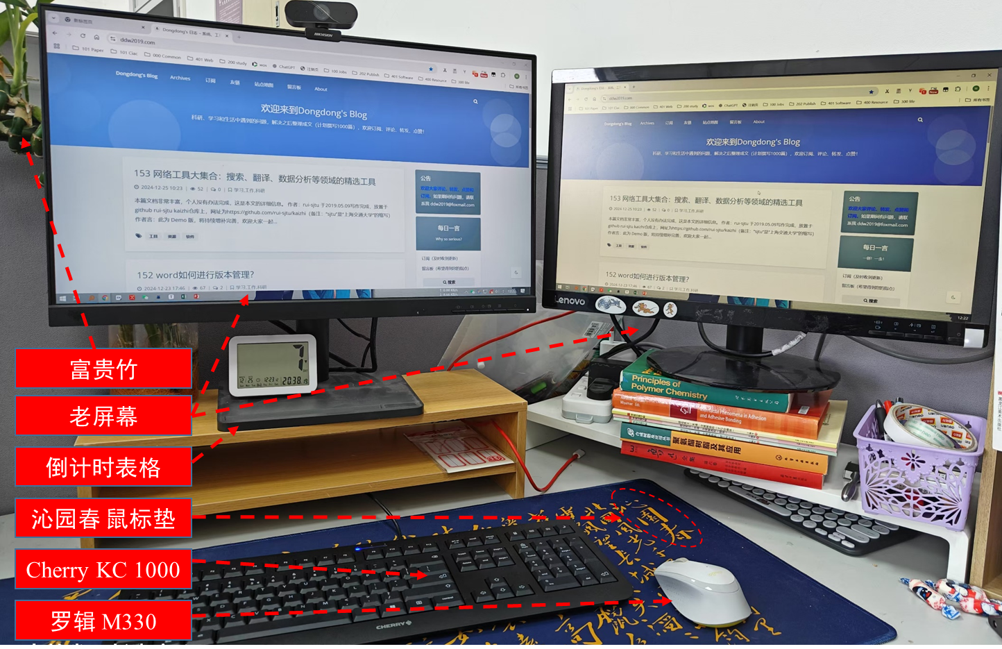 image-20241225123140397